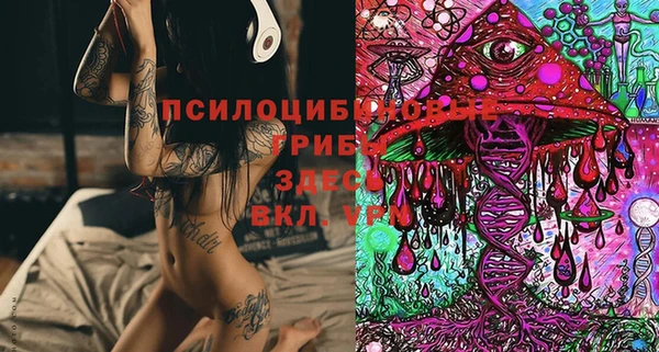 соль ск Балабаново