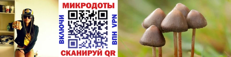 Галлюциногенные грибы прущие грибы  МЕГА   Энем  наркотики 