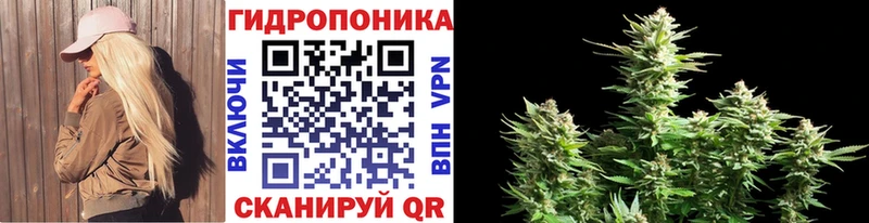 MEGA маркетплейс  Энем  Канабис White Widow 